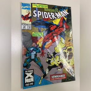 Final showdown with the Punisher Spider-man: vengeance the conclusion